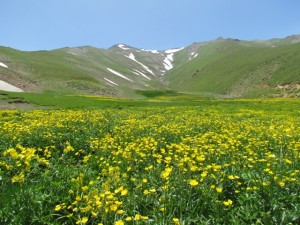 منطقه-حفاظت-شده-انگوران،-استان-زنجان7